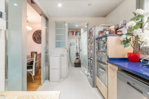 WhiteHomes_Democracia LOGO-16