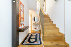 WhiteHomes_Democracia LOGO-20